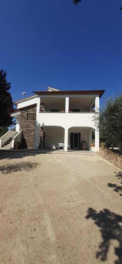 Il Salice Apartment Monte San Savino