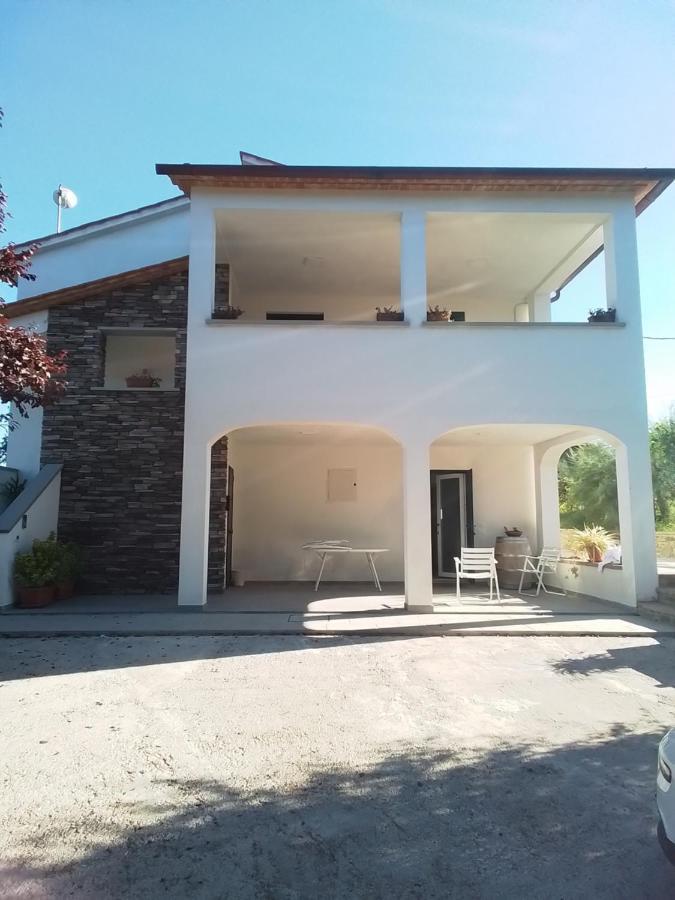 Il Salice Apartment Monte San Savino